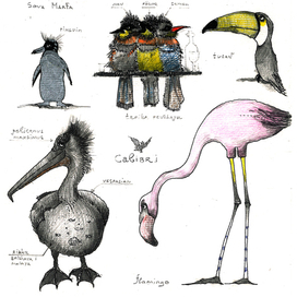 Записки охотника.Познавательные и не очень.