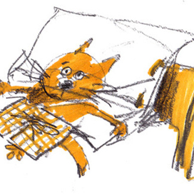 Кто я? С какого я района?...