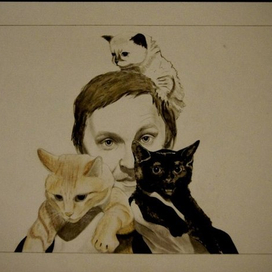 Любимец кошек