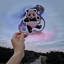 Панда в невесомости