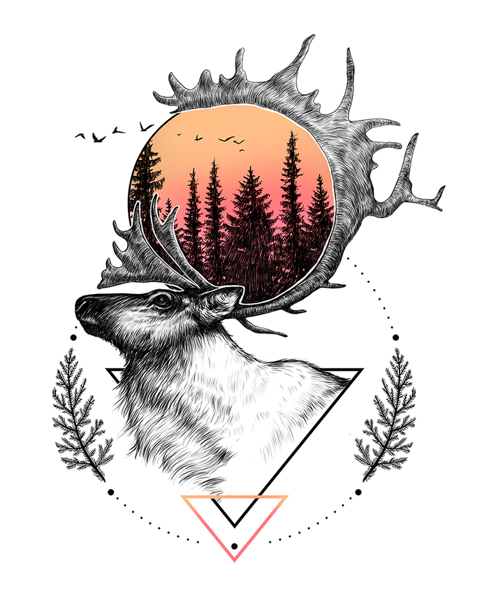 Северный олень