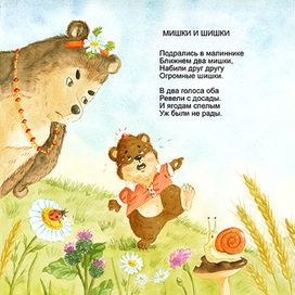 Мишки и шишки