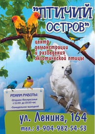 Листовка А4