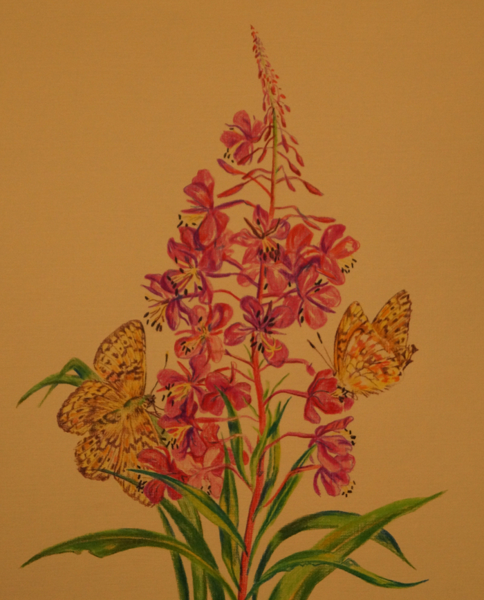 Иллюстрация книги Ю.Маслова Пряник для слона