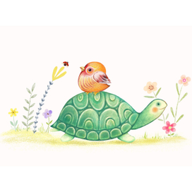 Turtle and small bird