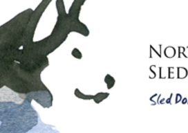 Северная надежда