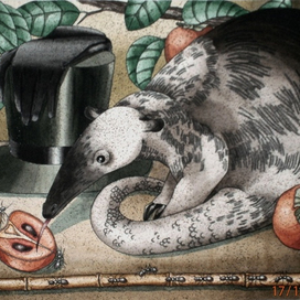 "Цилиндр и муравьед"