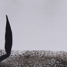 Одинокий кипарис