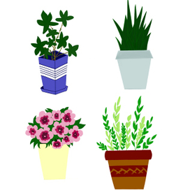 Растения в горшочках