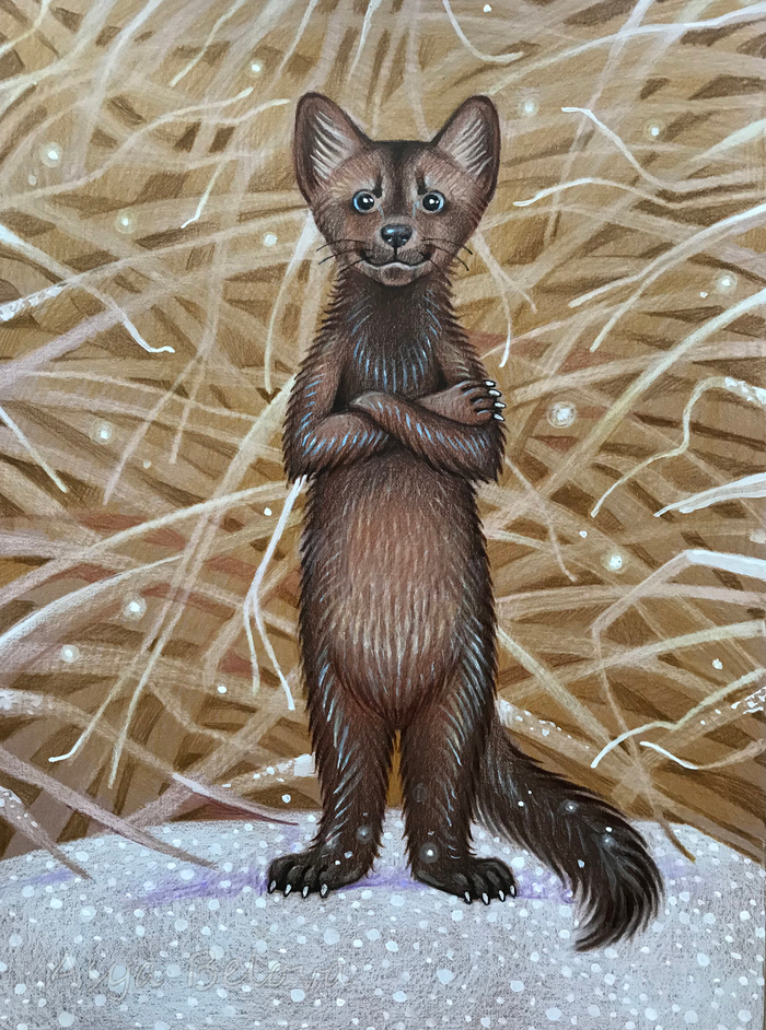 Соболь по имени Гузя