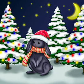 Символ 2023 года