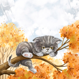 Маленький котенок