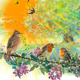 теплые края 