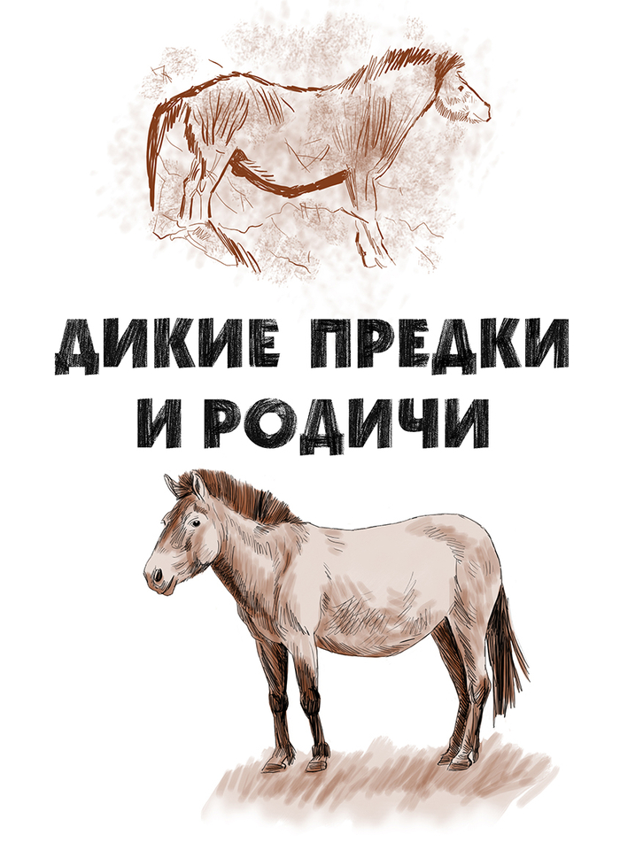 Игорь Акимушкин  "На коне через века" 