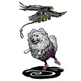 Шпиц в трусах)))