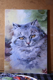 Житель моего дома. Кошка Стелька