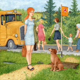 Автобус 17.43