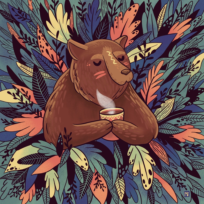 Медведь с какао