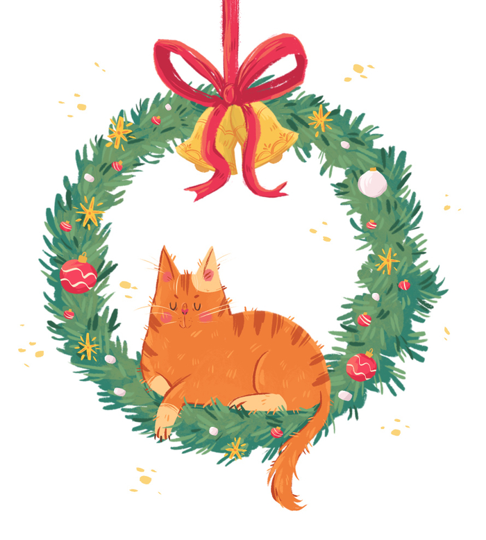 рыжий котик 