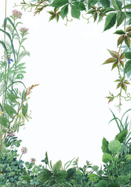 На Летней Поляне