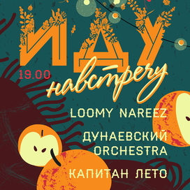 Иду навстречу