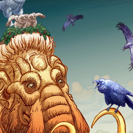 -Да у него там гнездо!!!