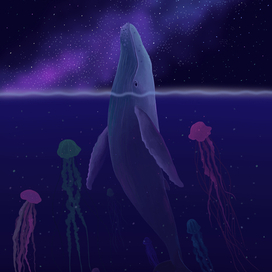 Звездный кит