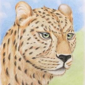 Рисунок леопарда.