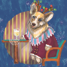 Корги пьет сидр