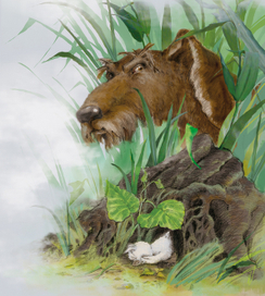 Гадкий утёнок