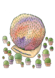 Колючий сон