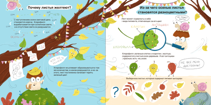 Нон-фикшн иллюстрация разворот Детской энциклопедии 