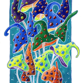 Радужные грибы