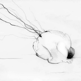 (без названия)