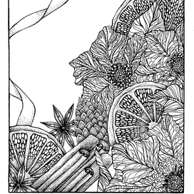 Раскраска "Морозник"