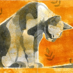 Кошка и солнце