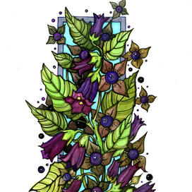  Обновление, возвращение к нормальной жизни. 