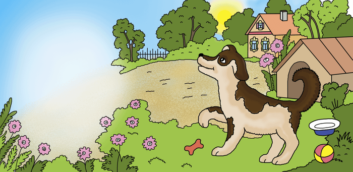 кто живёт во дворе?