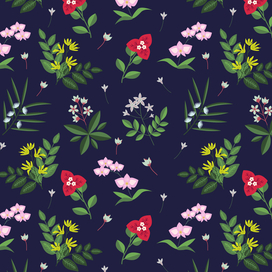 Тропические цветы