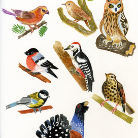 Книга Мамины уроки