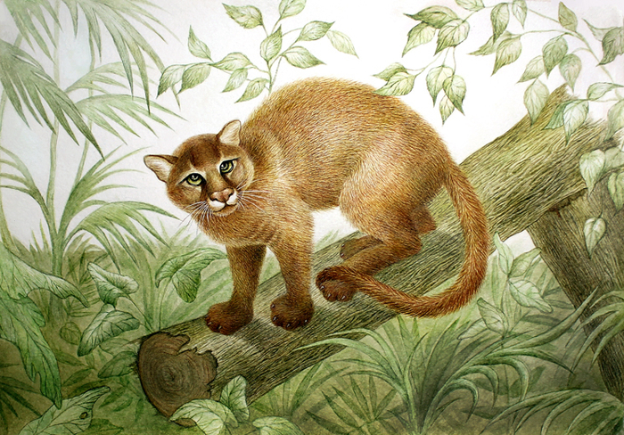 Анна Ивановна