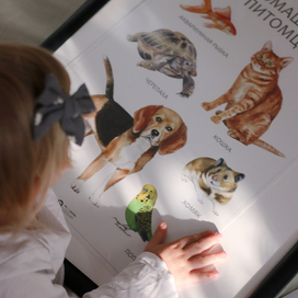 Обучающий детский плакат