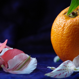 без названия