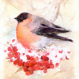 Проснулось утро зимнее