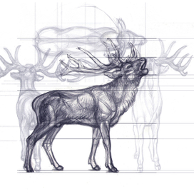 олень референс