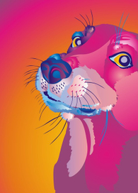 Зверек-Позитивик 2