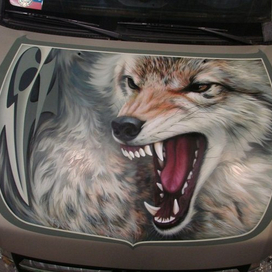 Аэрография на капоте