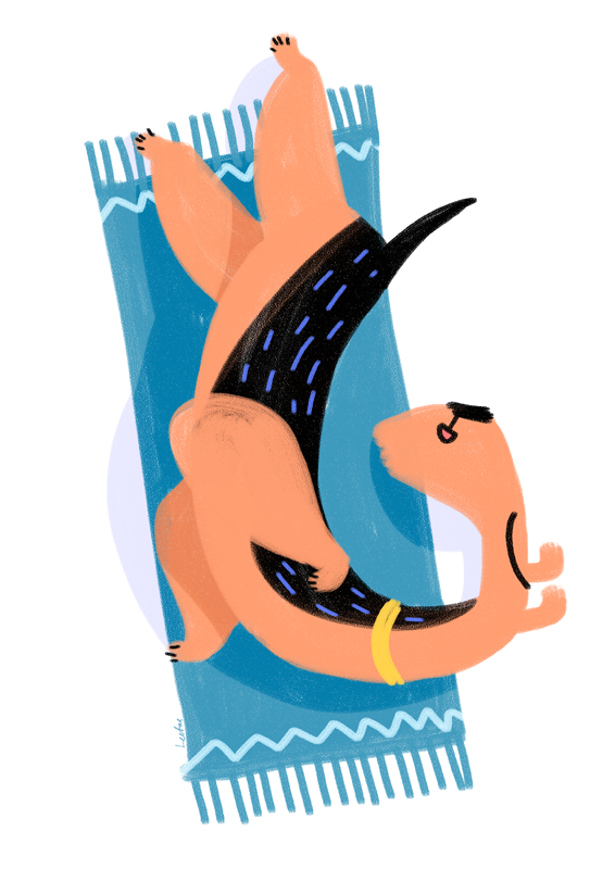 Спящий вельш-терьер