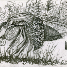 . Fairy tale "The Adventures of Flies in the Spider country". 2016 .