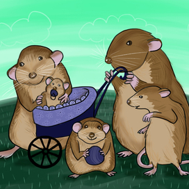 семейное фото